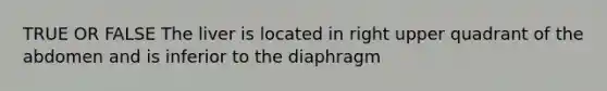 TRUE OR FALSE The liver is located in right upper quadrant of the abdomen and is inferior to the diaphragm