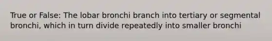 True or False: The lobar bronchi branch into tertiary or segmental bronchi, which in turn divide repeatedly into smaller bronchi