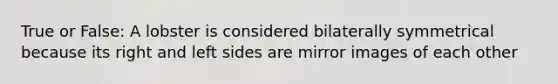 True or False: A lobster is considered bilaterally symmetrical because its right and left sides are mirror images of each other