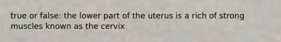 true or false: the lower part of the uterus is a rich of strong muscles known as the cervix