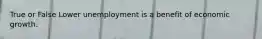 True or False Lower unemployment is a benefit of economic growth.