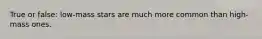 True or false: low-mass stars are much more common than high-mass ones.