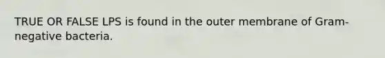 TRUE OR FALSE LPS is found in the outer membrane of Gram-negative bacteria.
