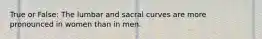 True or False: The lumbar and sacral curves are more pronounced in women than in men.