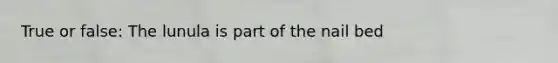 True or false: The lunula is part of the nail bed