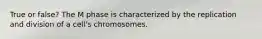 True or false? The M phase is characterized by the replication and division of a cell's chromosomes.