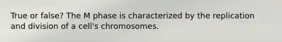 True or false? The M phase is characterized by the replication and division of a cell's chromosomes.