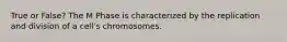 True or False? The M Phase is characterized by the replication and division of a cell's chromosomes.