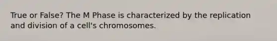 True or False? The M Phase is characterized by the replication and division of a cell's chromosomes.