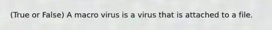 (True or False) A macro virus is a virus that is attached to a file.