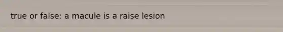 true or false: a macule is a raise lesion