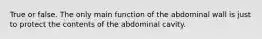 True or false. The only main function of the abdominal wall is just to protect the contents of the abdominal cavity.