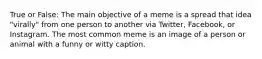 True or False: The main objective of a meme is a spread that idea "virally" from one person to another via Twitter, Facebook, or Instagram. The most common meme is an image of a person or animal with a funny or witty caption.