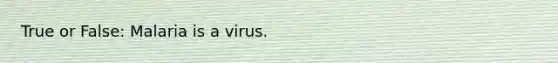 True or False: Malaria is a virus.