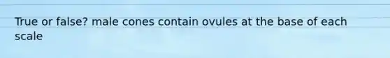 True or false? male cones contain ovules at the base of each scale