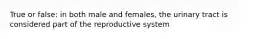 True or false: in both male and females, the urinary tract is considered part of the reproductive system