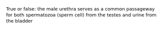 True or false: the male urethra serves as a common passageway for both spermatozoa (sperm cell) from the testes and urine from the bladder