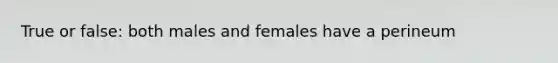 True or false: both males and females have a perineum