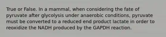 True or False. In a mammal, when considering the fate of pyruvate after glycolysis under anaerobic conditions, pyruvate must be converted to a reduced end product lactate in order to reoxidize the NADH produced by the GAPDH reaction.