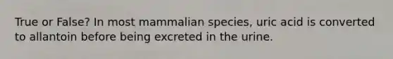 True or False? In most mammalian species, uric acid is converted to allantoin before being excreted in the urine.