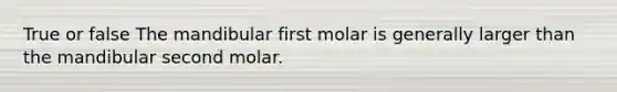 True or false The mandibular first molar is generally larger than the mandibular second molar.