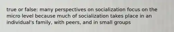 true or false: many perspectives on socialization focus on the micro level because much of socialization takes place in an individual's family, with peers, and in small groups