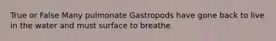 True or False Many pulmonate Gastropods have gone back to live in the water and must surface to breathe.