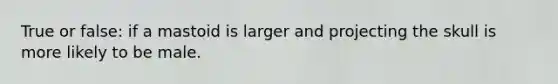 True or false: if a mastoid is larger and projecting the skull is more likely to be male.