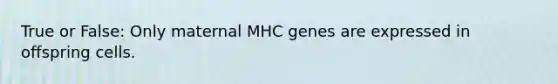 True or False: Only maternal MHC genes are expressed in offspring cells.