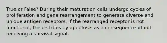 True or False? During their maturation cells undergo cycles of proliferation and gene rearrangement to generate diverse and unique antigen receptors. If the rearranged receptor is not functional, the cell dies by apoptosis as a consequence of not receiving a survival signal.