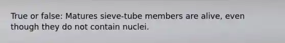 True or false: Matures sieve-tube members are alive, even though they do not contain nuclei.