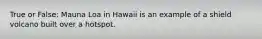 True or False: Mauna Loa in Hawaii is an example of a shield volcano built over a hotspot.