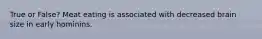 True or False? Meat eating is associated with decreased brain size in early hominins.