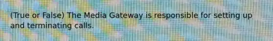 (True or False) The Media Gateway is responsible for setting up and terminating calls.