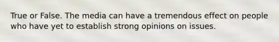 True or False. The media can have a tremendous effect on people who have yet to establish strong opinions on issues.