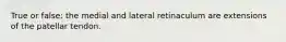 True or false: the medial and lateral retinaculum are extensions of the patellar tendon.