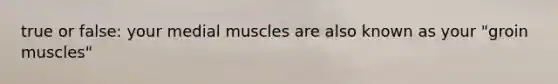 true or false: your medial muscles are also known as your "groin muscles"