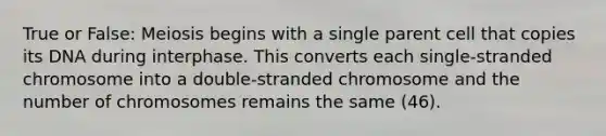 True or False: Meiosis begins with a single parent cell that copies its DNA during interphase. This converts each single-stranded chromosome into a double-stranded chromosome and the number of chromosomes remains the same (46).