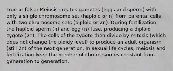 True or false: Meiosis creates gametes (eggs and sperm) with only a single chromosome set (haploid or n) from parental cells with two chromosome sets (diploid or 2n). During fertilization, the haploid sperm (n) and egg (n) fuse, producing a diploid zygote (2n). The cells of the zygote then divide by mitosis (which does not change the ploidy level) to produce an adult organism (still 2n) of the next generation. In sexual life cycles, meiosis and fertilization keep the number of chromosomes constant from generation to generation.