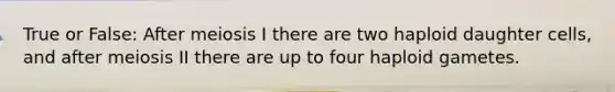 True or False: After meiosis I there are two haploid daughter cells, and after meiosis II there are up to four haploid gametes.