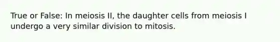 True or False: In meiosis II, the daughter cells from meiosis I undergo a very similar division to mitosis.