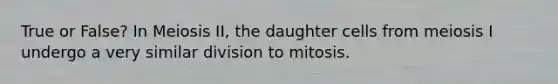 True or False? In Meiosis II, the daughter cells from meiosis I undergo a very similar division to mitosis.