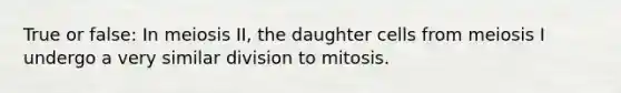 True or false: In meiosis II, the daughter cells from meiosis I undergo a very similar division to mitosis.