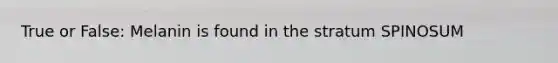 True or False: Melanin is found in the stratum SPINOSUM