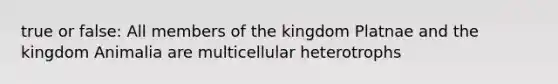 true or false: All members of the kingdom Platnae and the kingdom Animalia are multicellular heterotrophs