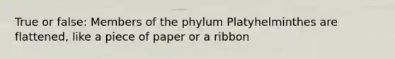 True or false: Members of the phylum Platyhelminthes are flattened, like a piece of paper or a ribbon