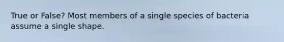 True or False? Most members of a single species of bacteria assume a single shape.