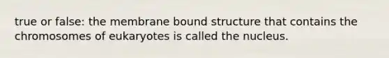 true or false: the membrane bound structure that contains the chromosomes of eukaryotes is called the nucleus.