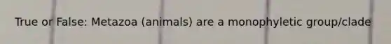 True or False: Metazoa (animals) are a monophyletic group/clade
