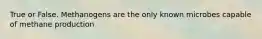 True or False. Methanogens are the only known microbes capable of methane production